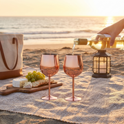 Cassara Stainless Steel 6-Piece Glassware Set